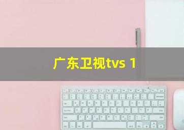 广东卫视tvs 1